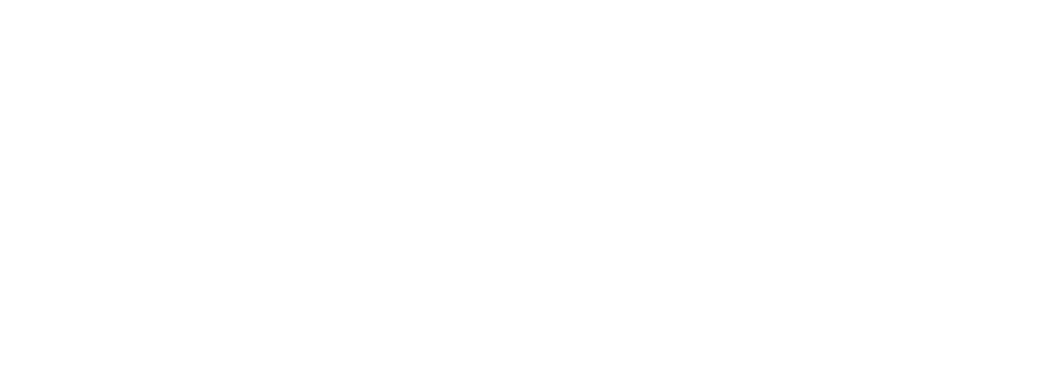 Limito Consulting